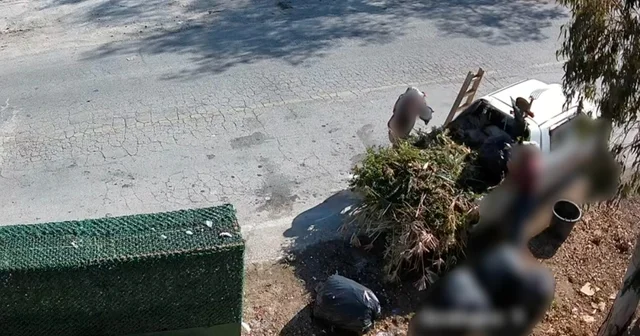 Bodrum da çevreyi kirletenler belediye kamerasına yakalandı Muğla Haberleri