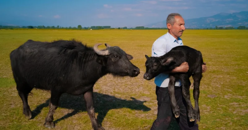 Tokatlı Mehmet Emin Coruş dünya ikincisi! Huawei XMAGE 2025 Ödülleri sahiplerini buldu