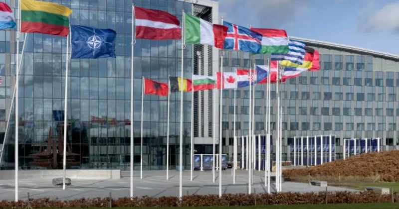 NATO üyesi 8 ülke Ukrayna için kolları sıvadı! Dudak uçuklatan destek paketi!