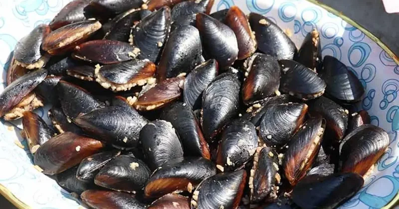 Aile faciası: Ortaköy de midye yiyen 2 çocuk hayatını kaybetti, baba entübe edildi!