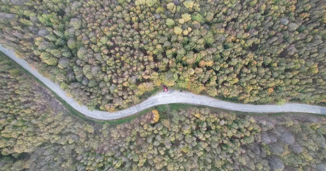 Yalova ormanlarında sonbahar güzelliği Yalova Haberleri