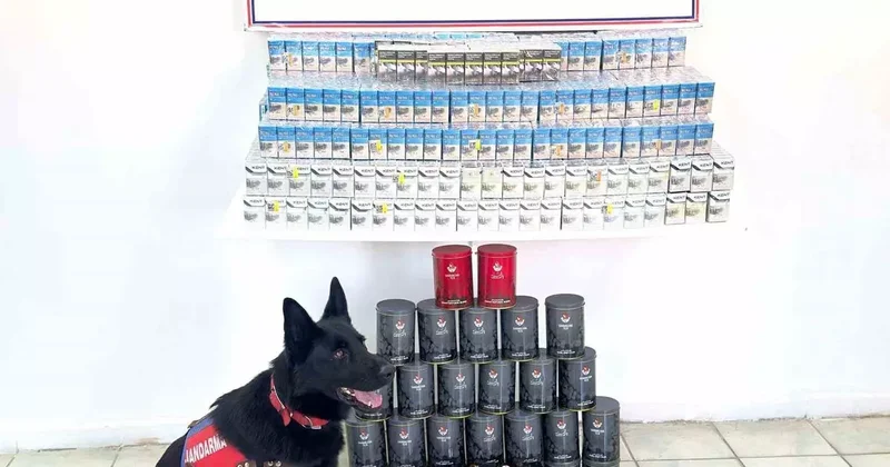 Van’da kaçak sigara ve çay ele geçirildi