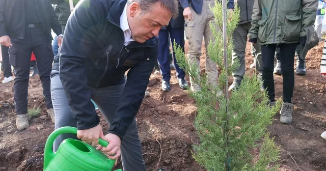 Orman yangınlarından etkilenen bölgede 5 bin fidanı toprakla buluşturuldu Bilecik Haberleri