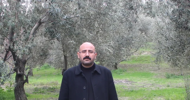 Mut da bu yıl 120 bin ton zeytin rekoltesi bekleniyor Mut Ziraat Odası Başkanı Muharrem Yılmaz: İlçemizde üretilen zeytinyağları Fransa, Japonya ya, Birleşik Arap Emirlikleri gibi ülkelere ihracat ediliyor Mersin Haberleri