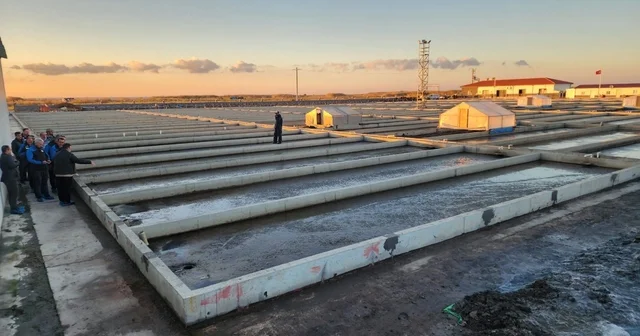 Çanakkale deki deniz solucanları yetiştiriciliği tesisi sektörde tek Çanakkale Haberleri