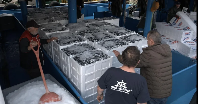 Limanlar kasa kasa doldu, tırlar sıraya girdi: Denizden tonlarca balık çıktı Sözcü Gazetesi