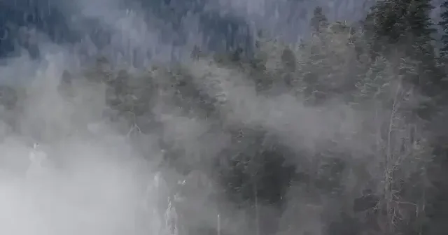 Sinop’ta Çatak Kanyonu Tabiat Parkı sisler arasında büyüledi VİDEO İZLE