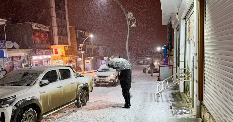 Van da kar etkili oldu