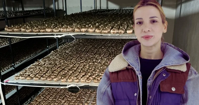 Deste deste paraların döndüğü işi yapıyordu bırakıp çiçek yetiştirmeye gitti