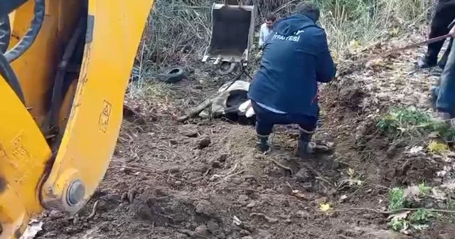 Hatay da dereye düşen inek itfaiye ekipleri tarafından kurtarıldı Hatay Haberleri