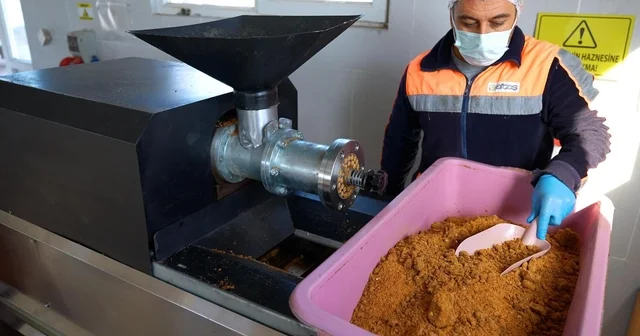 Didim de her geri dönüşüm, can dostlara umut olacak Aydın Haberleri