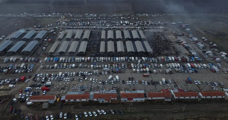 Şarkışla Canlı Hayvan Pazarı yeniden açıldı