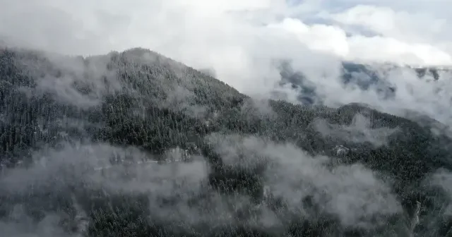 Ilgaz Dağı’nda kar ve sis bir arada VİDEO İZLE