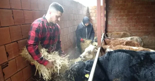 Giresun haberleri Almanya da robot olacağıma çoban olurum diyerek memleketine döndü 13 Aralık 2025