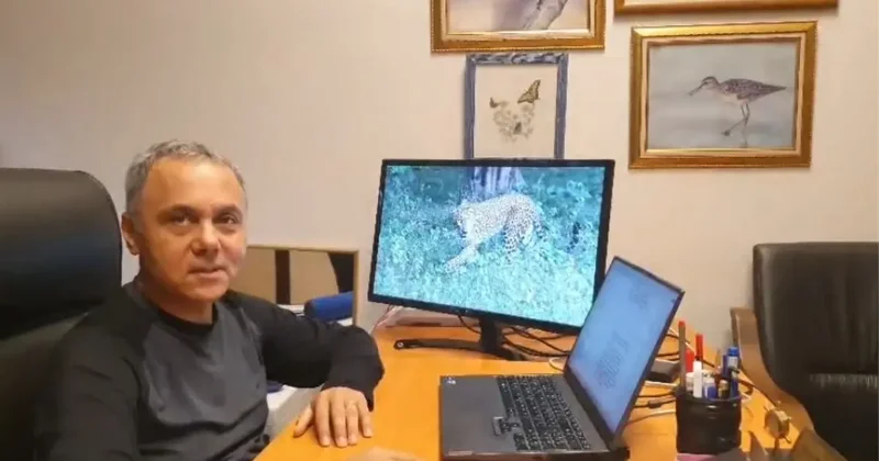 Ağaçtaki Anadolu Parsı değilmiş! Gerçek sonradan ortaya çıktı