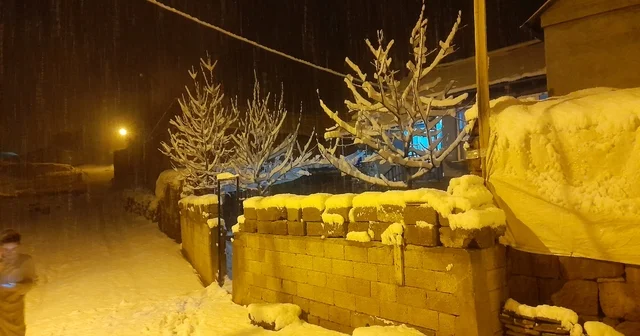 Ahlat ta kar yağışı Bitlis Haberleri