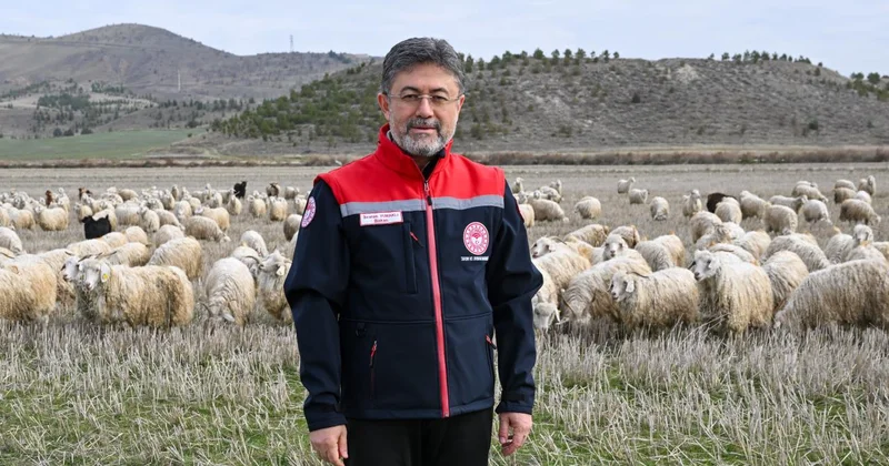 Tiftik, yeni destek mekanizmalarıyla ekonomiye kazandırılacak