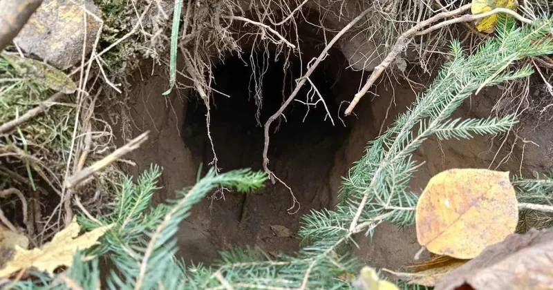 İki ülke arasında 100 metrelik tüneller bulundu! Sınırları yer altından delmişler Sözcü Gazetesi