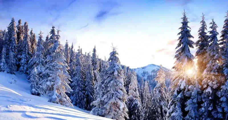 Zemheri ne zaman başlıyor? Zemheri ayı nedir, kaç gün sürer? 2025 2026 zemheri takvimi Son Dakika Haberleri