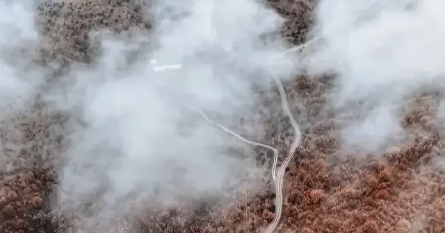 Çankırı’da sisle kaplanan sonbahar ormanları büyüledi VİDEO İZLE