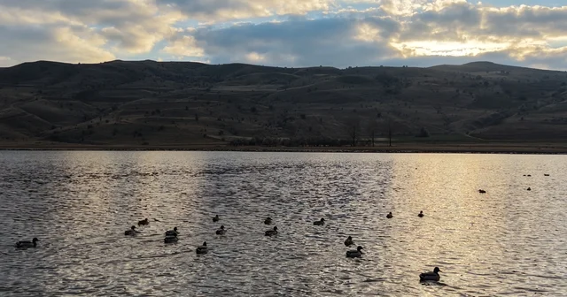 Kuruyunca kuşların da terk ettiği göl, yağışlarla yeniden hayat buldu Sivas Haberleri
