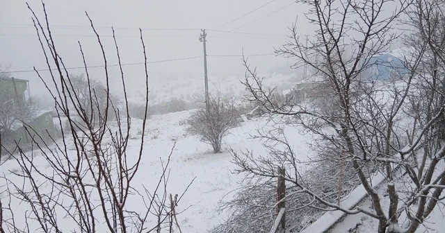 Posof ta kar yağışı etkili oluyor Ardahan Haberleri