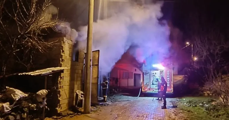 Uşak’ta samanlıkta çıkan yangında 5 koyun telef oldu