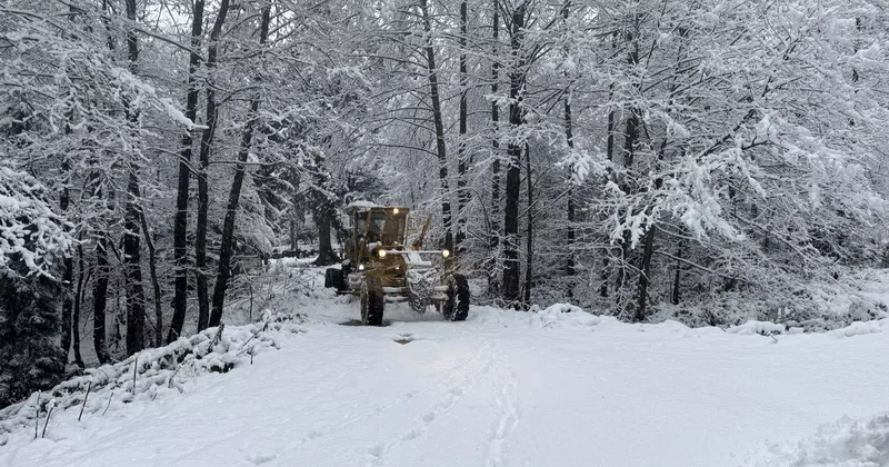 Artvin de kar etkili oldu