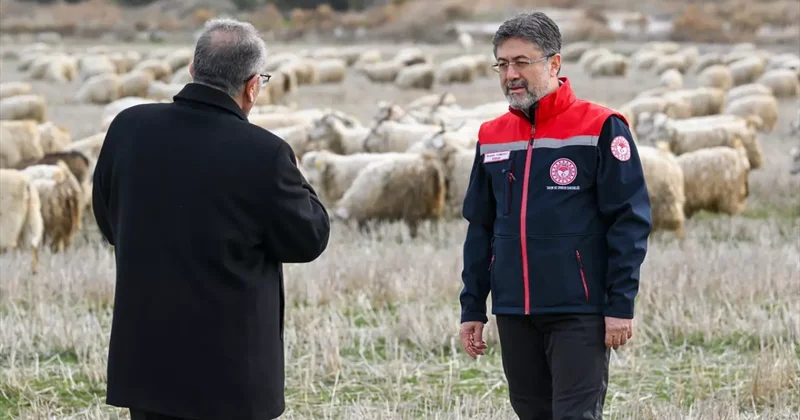 Tiftik için yeni dönem: Özel destek geliyor