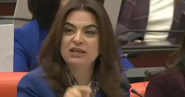 DEM li vekilden TBMM de skandal sözler: LGBT li çocuk diyerek normalleştirmeye çalıştı VİDEO İZLE