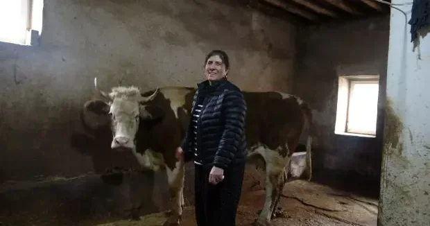 Tunceli haberleri Hem besici hem muhtar! 8 erkek adayı geride bıraktı 13 Aralık 2025