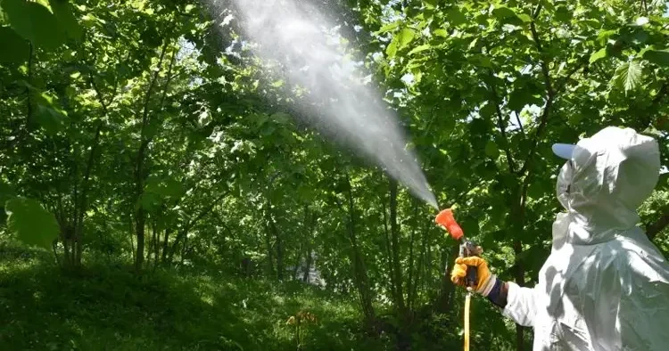 Zehirlenme vakaları sonrası yeni karar! Artık zorunlu oldu