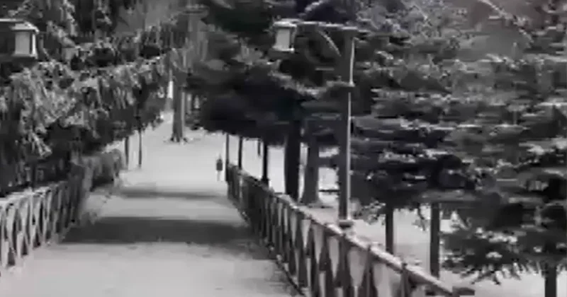 Ordu’nun yüksekleri beyaza büründü