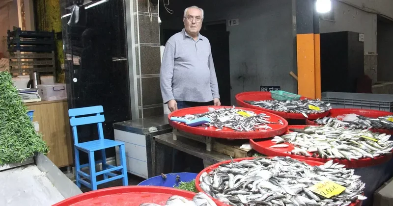 Bozdoğan da balık tezgahlarının en çok tercih edilen çeşidi hamsi oldu