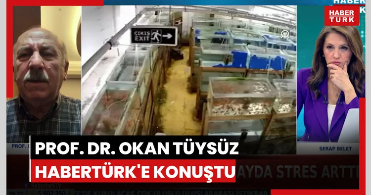 Prof. Dr Okan Tüysüz olası İstanbul depremini değerlendirdi
