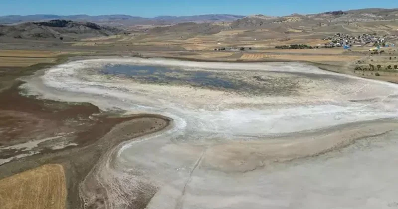 Kuşlar bile terk ettiği yer şimdi canlı akınına uğradı Sözcü Gazetesi