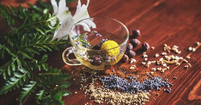 Bitki koruma ürünlerinin satışında yeni dönem