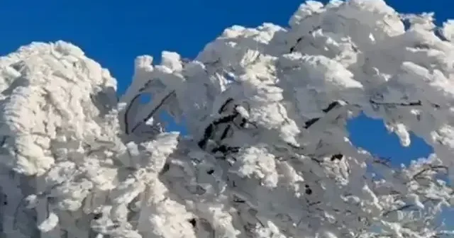 Burası Balıkesir: Çataldağ da çekilen görüntüler Sibirya yı aratmadı VİDEO İZLE