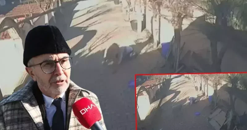 Profesör, koç saldırısını değerlendirdi: Ya oyun ya da içgüdüsel olarak saldırganlık sanıyor