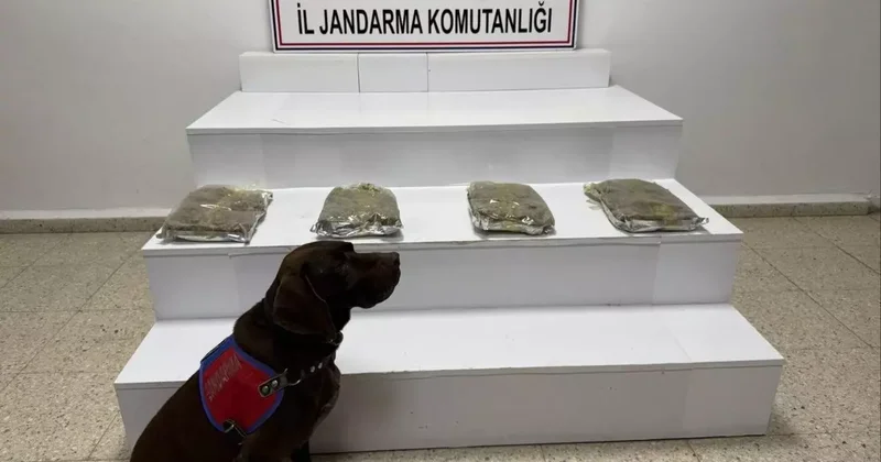 Van’da 5 kilo 250 gram kubar esrar ele geçildi