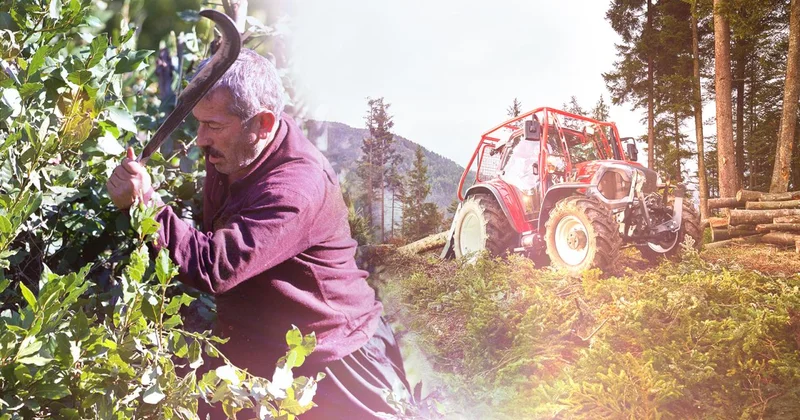 Orman köylüsü ailelere 2,55 milyar lira destek sağlandı