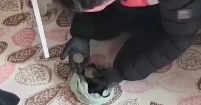 KOM ekiplerinden tarihi eser kaçakçılığına büyük darbe: Dev baskında binlerce yıllık sikkeler ele geçirildi VİDEO İZLE