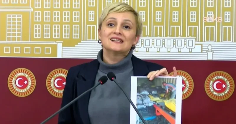 DEM Partili Koca’dan Mersin Limanı isyanı: 185 işçi için çağrı