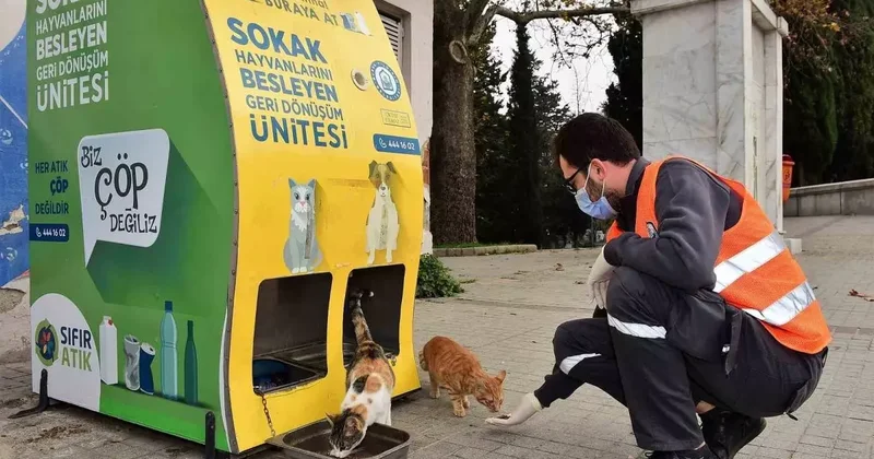 Yıldırım Belediyesi’nden sokak hayvanlarına sıcak yuva