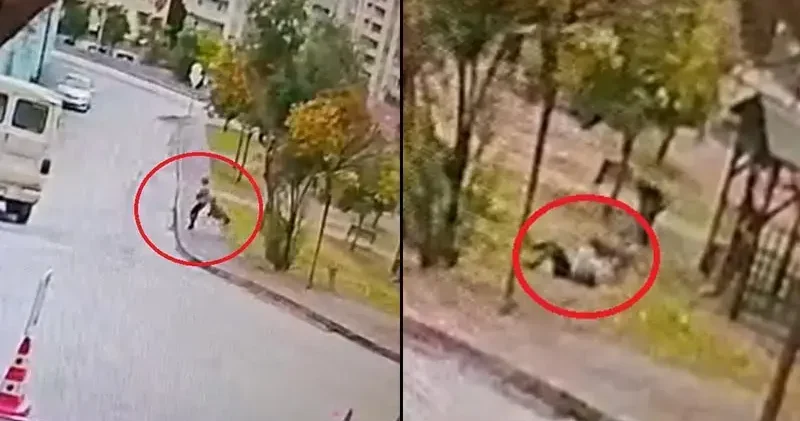 Sahipsiz 2 kurt köpeği, tasmayla gezdirilen evcil köpek ile sahibine saldırdı