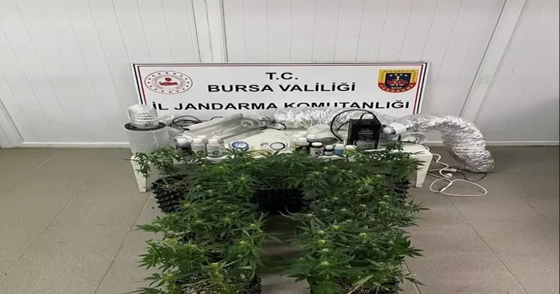 İnegöl’de uyuşturucu operasyonu: Evde esrar üretim düzeneği ele geçirildi