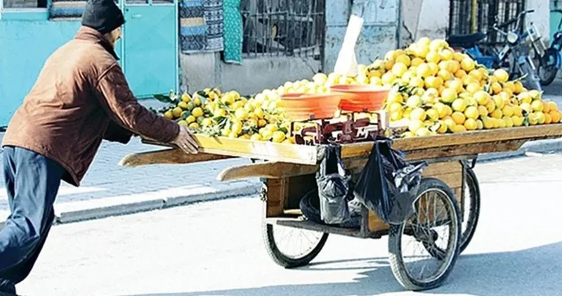 Son dakika Seyyar satıcı ve ilaçlama firmalarına sıkı denetim geliyor! İstanbul Valiliği duyurdu