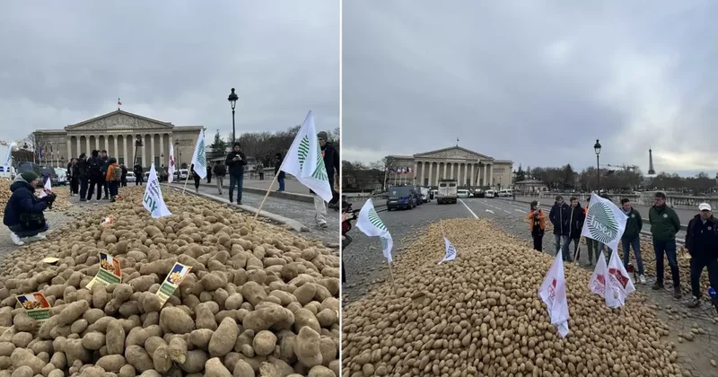 Fransa da Çiftçilerden Patatesli Protesto