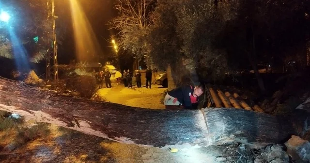 Defne de devrilen ağaç yolu kapattı Hatay Haberleri