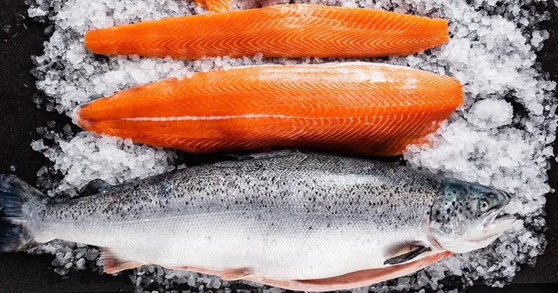 Türk somonu ihracatı ocakta yüzde 39 arttı